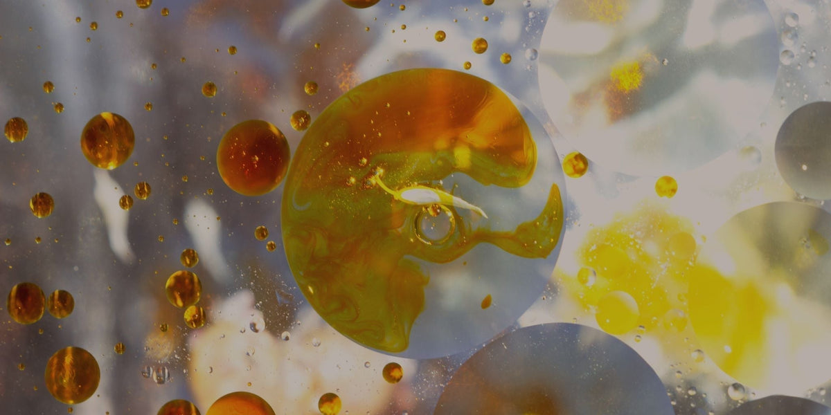 Abstract close-up of golden oil droplets suspended in liquid, representing nutrient-rich botanical face oil texture.