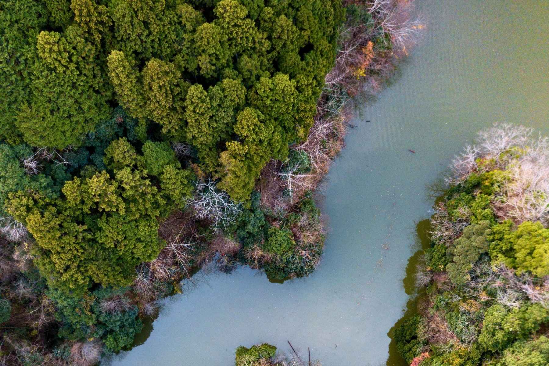 Australian nature landscape, inspiration behind OrganicSpa certified organic skincare