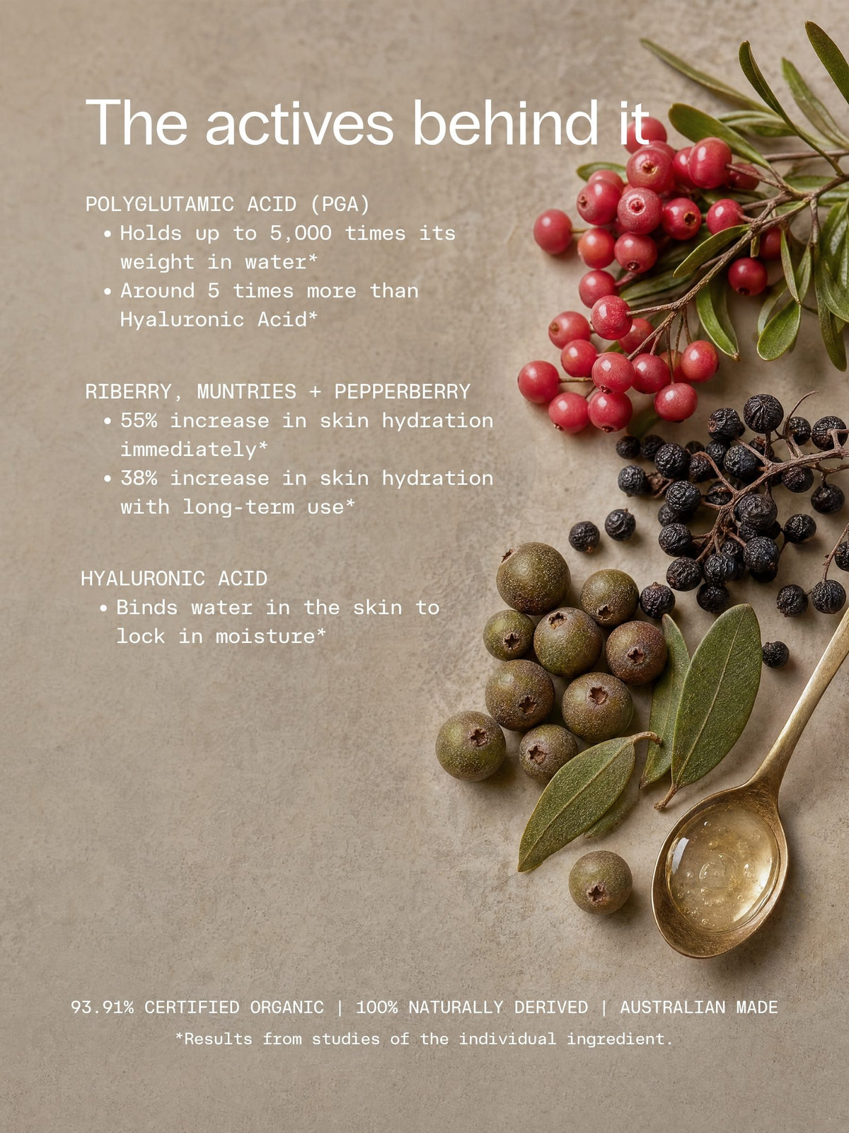 Riberry, muntries and pepperberry beside a spoon of serum, the native Australian actives in OrganicSpa BioHydra+ Serum.