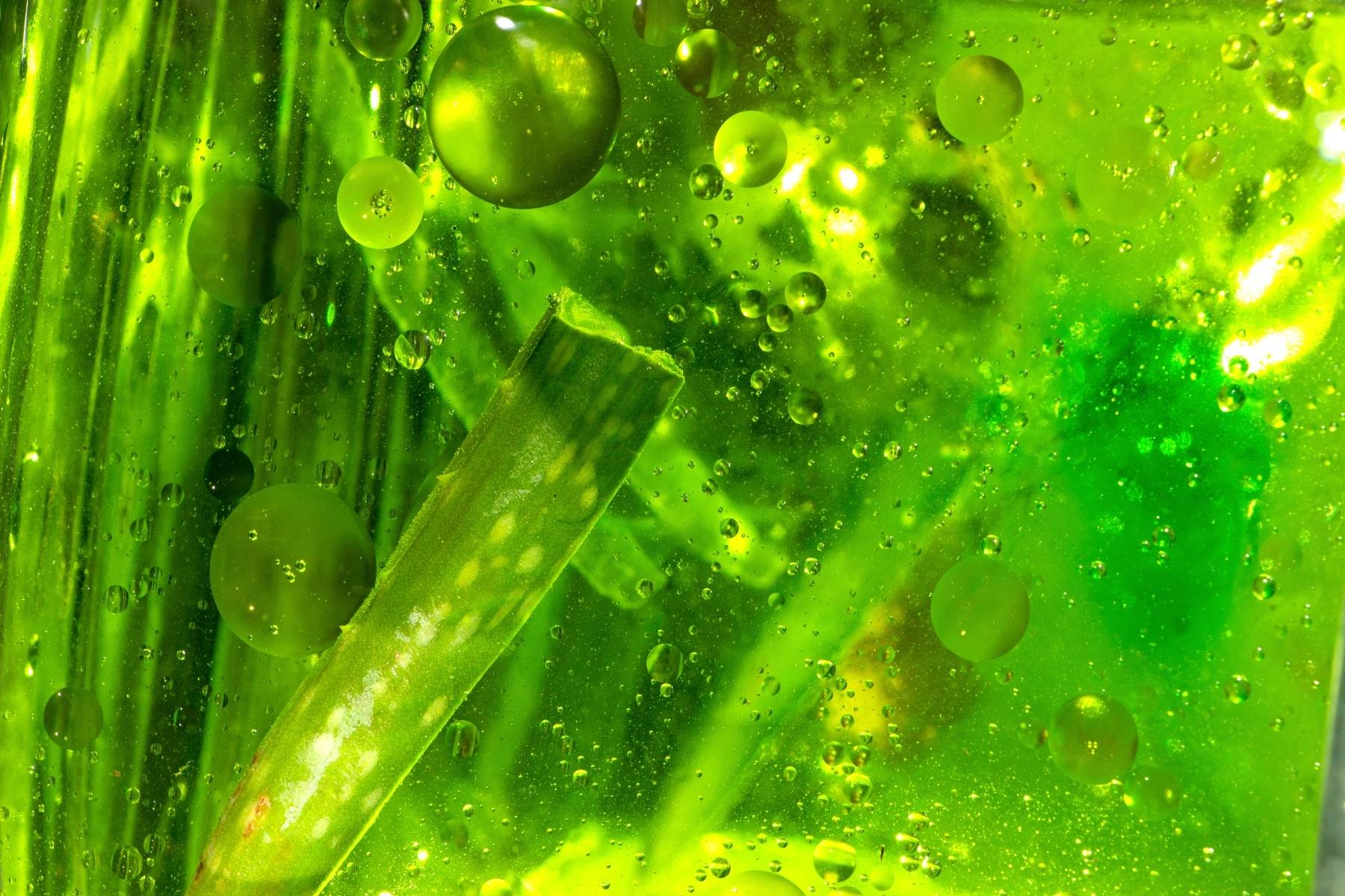 Close-up macro photography of vibrant green aloe vera stalks and oxygen bubbles, representing the fresh, vegan, and certified organic plant actives in our skincare range.