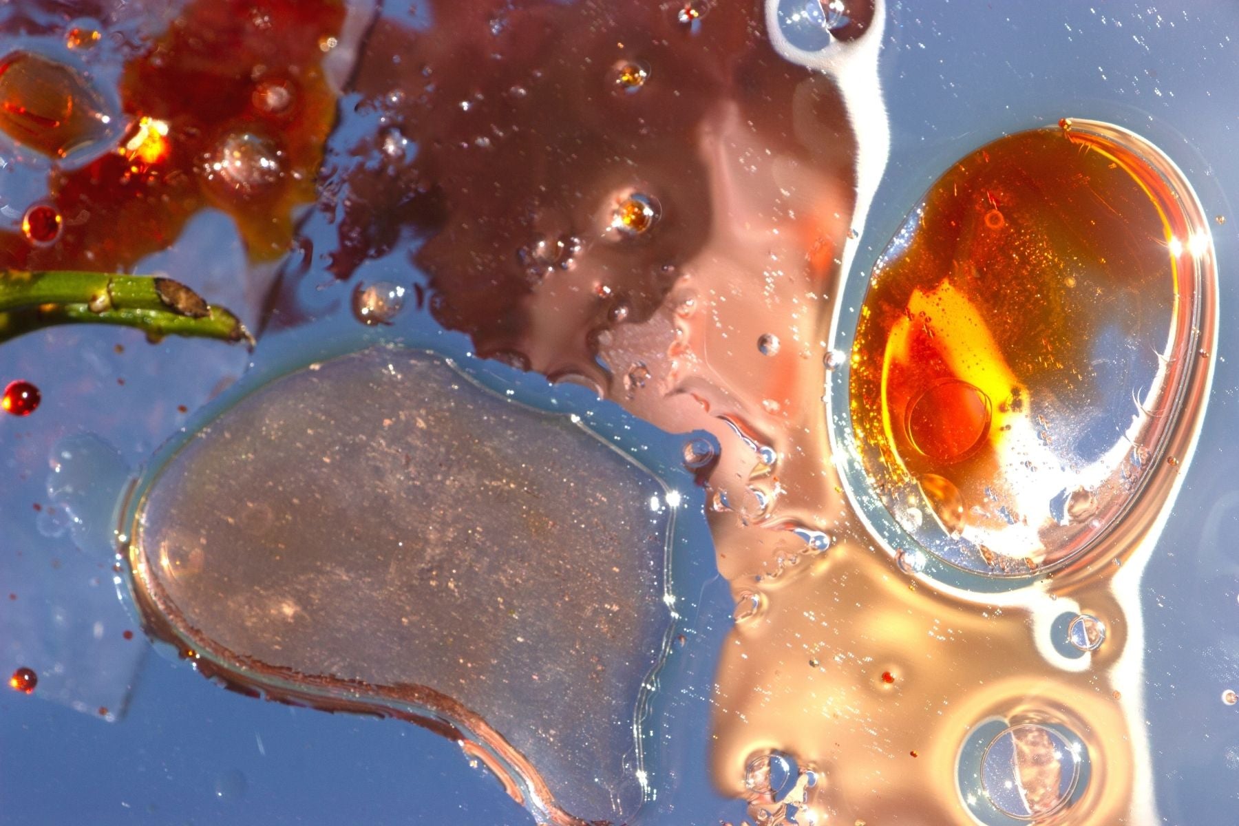 A hyper-real macro shot of amber-colored botanical oil droplets and plant extracts suspended in water, showcasing the raw, organic ingredients used in Australian-made skincare.