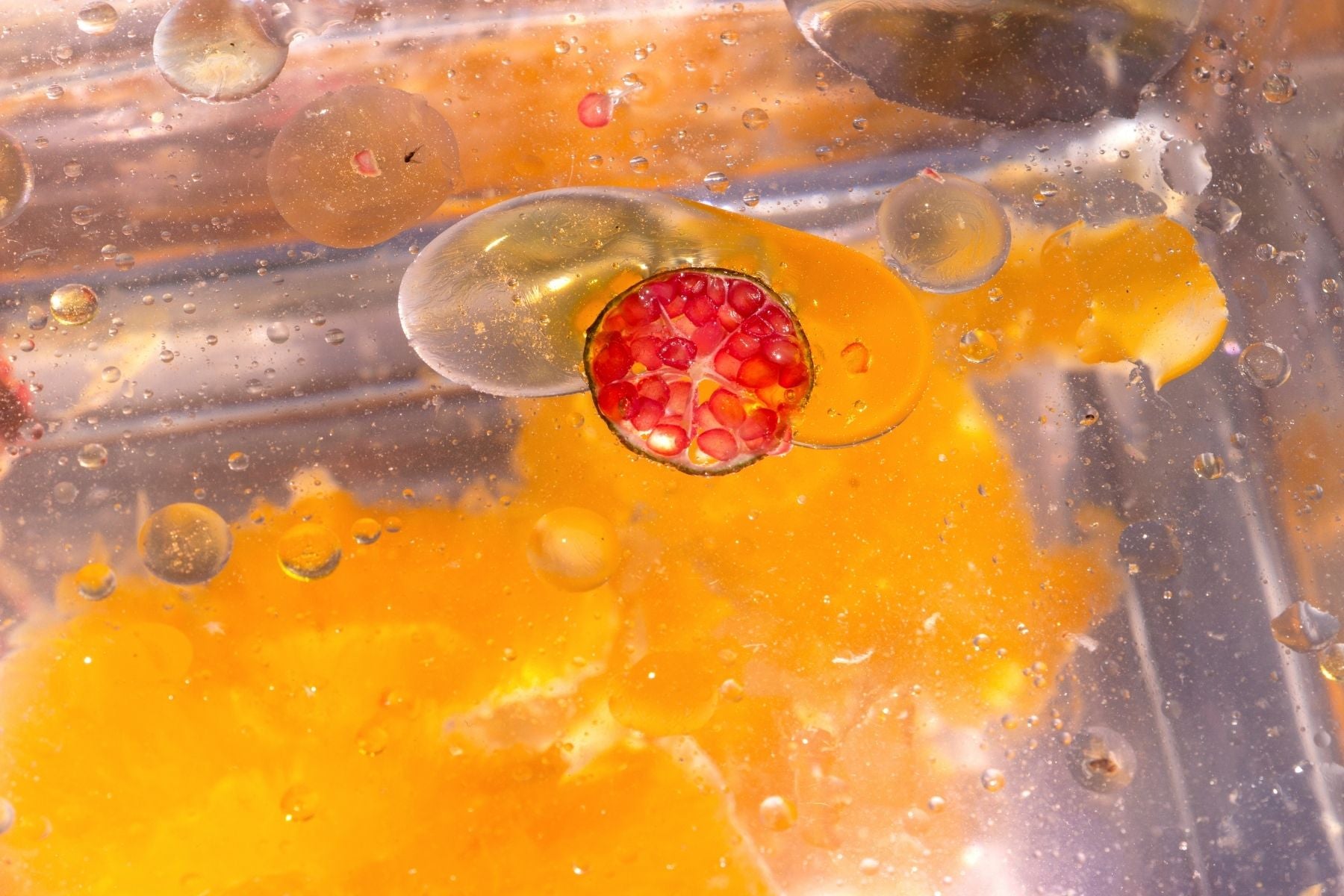 An artistic macro view of Australian finger lime vesicles, orange citrus, and carrot seed oil droplets, highlighting the potent, cruelty-free botanical infusions.