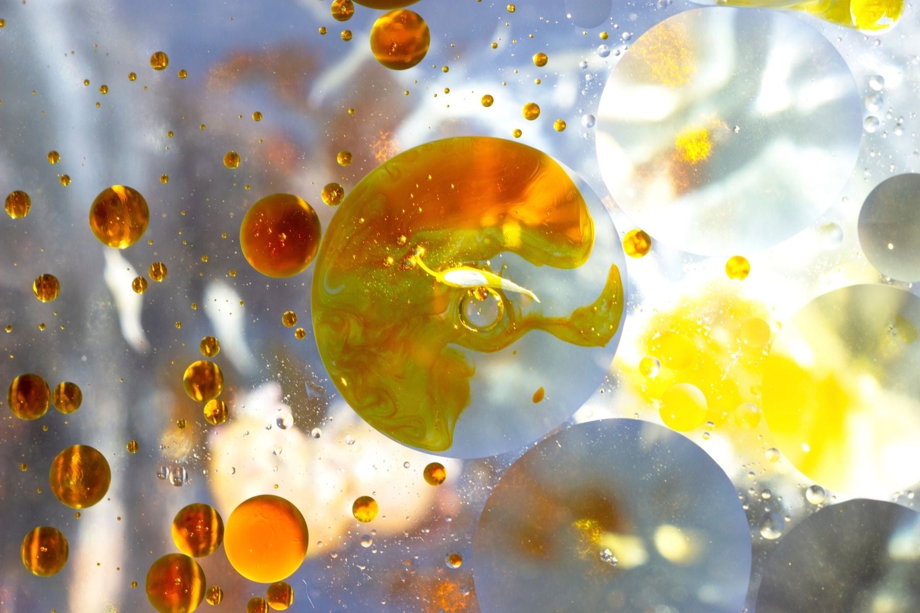 Golden spheres of certified organic rosehip oil suspended in a crystalline solution, illustrating the high-performance, vegan botanical chemistry of our Australian skincare brand.